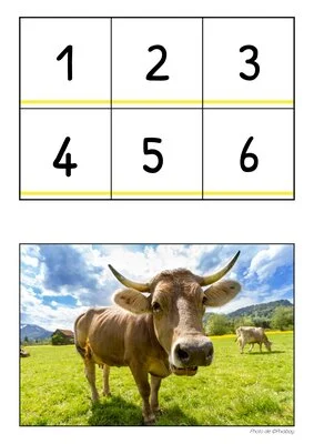 Puzzles mathématiques MS