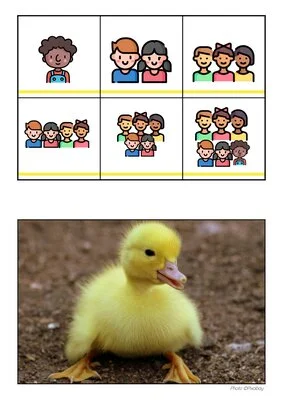 Puzzles mathématiques MS