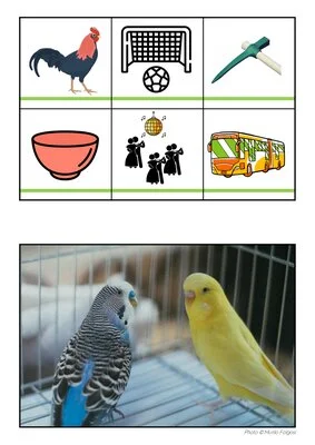7 puzzles de lecture - Niveau 1