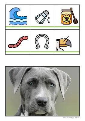 7 puzzles de lecture - Niveau 1