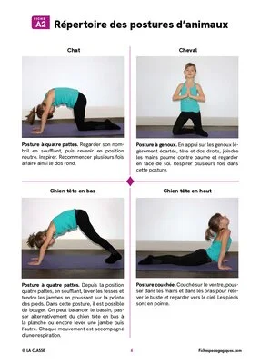 Le yoga des animaux