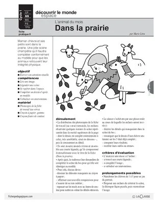 La chèvre (8)