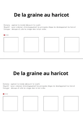 De la graine à la plante !