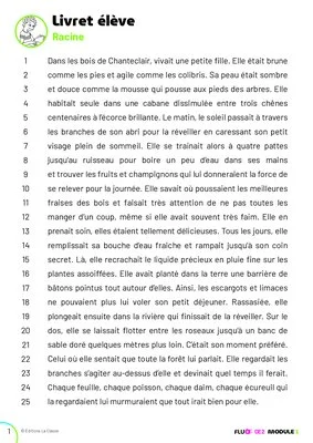 FLUO CE2 - Ressources numériques (extrait)