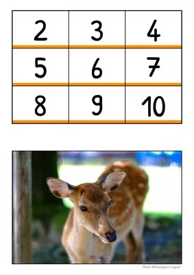 Puzzles mathématiques GS