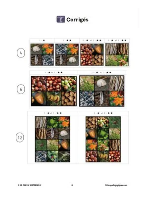 Logicaz des parcs et forêts