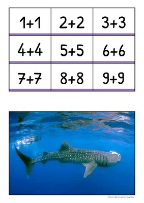 Puzzles mathématiques GS-CP