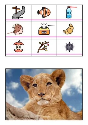 Puzzles de lecture - Niveau 4