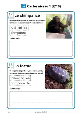 Portraits d'animaux