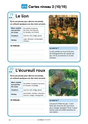 Portraits d'animaux