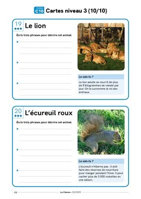 Portraits d'animaux