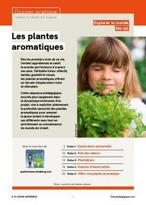 Les plantes aromatiques