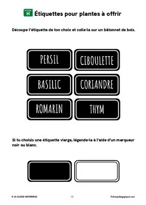 Les plantes aromatiques