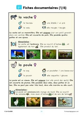 Enquêtes à la ferme