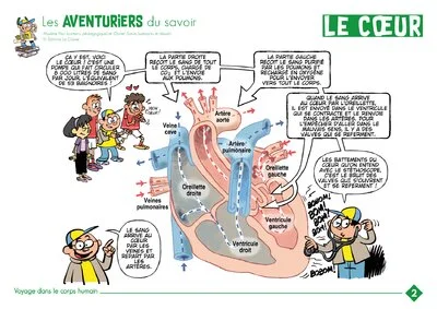 Les AVENTURIERS du savoir : Le corps humain (6 affiches)