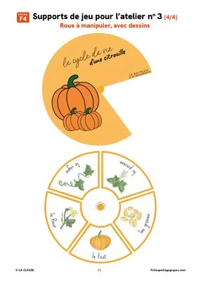 Le cycle de vie de la citrouille