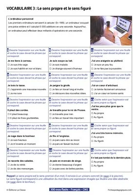 300 exos flashs de français niveau CM1-CM2
