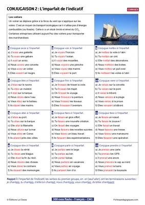 300 exos flashs de français niveau CM1-CM2