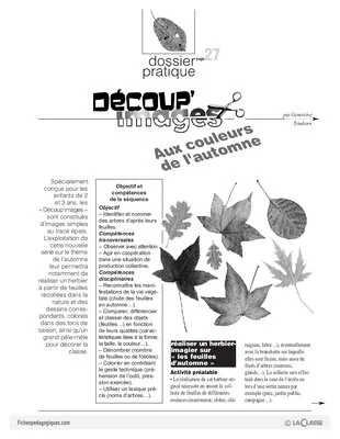 Découp'images: l'automne