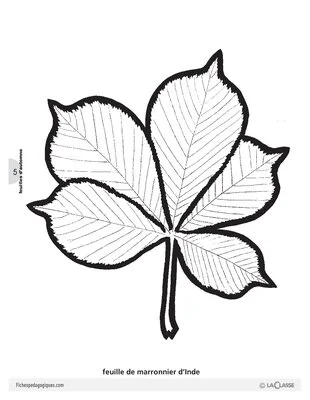 Découp'images: l'automne