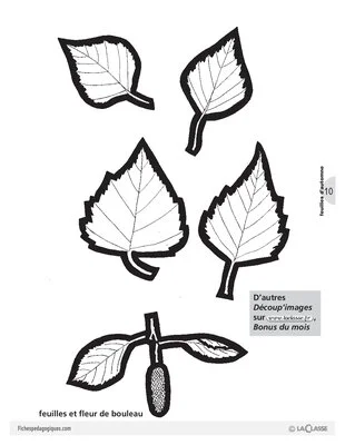 Découp'images: l'automne