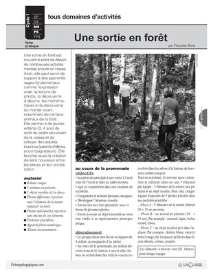 Une sortie en forêt