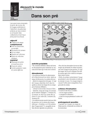 Le cheval (8) : attention visuelle