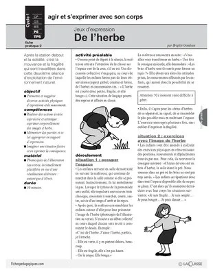 Jeux d'expression (2) / De l'herbe