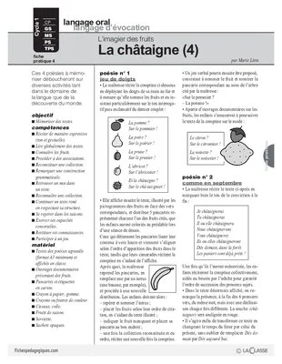 La châtaigne (4)