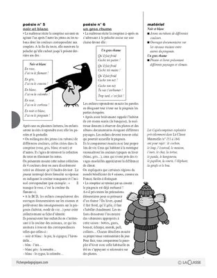Cajolicomptines (15) / Le pingouin