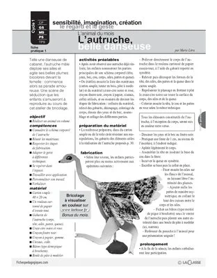 L'autruche (1)