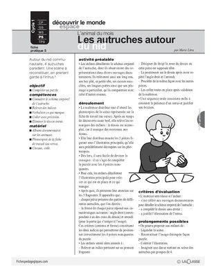 L'autruche (5)