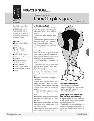 L'autruche (6)