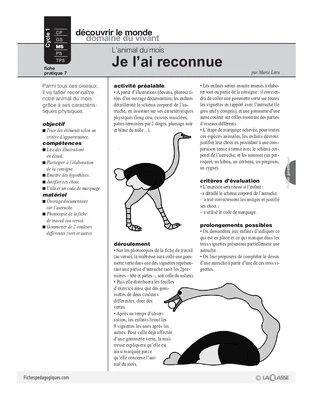 L'autruche (7)