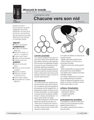 L'autruche (8)