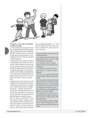 Le vélo en maternelle (1)