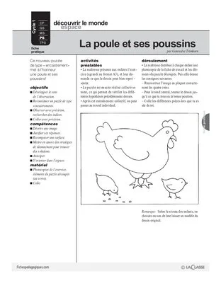 La poule et ses poussins