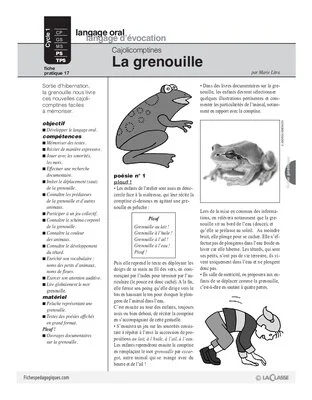 Cajolicomptines (17) / La grenouille