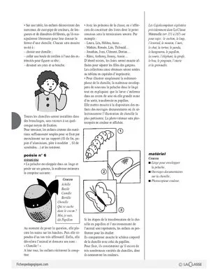 Cajolicomptines (18) / La chenille