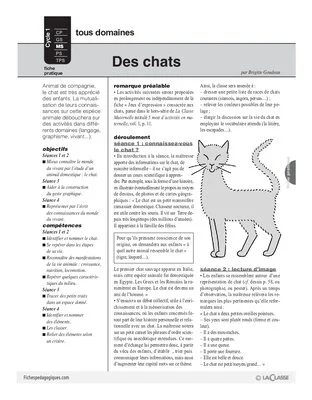 Des chats