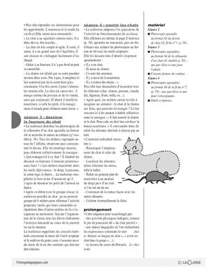 Des chats