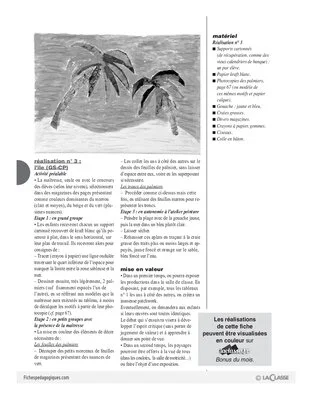 Paysages d'été