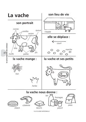 Les oeufs de Paulette (2)