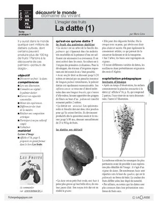 L'imagier des fruits : La datte (1)