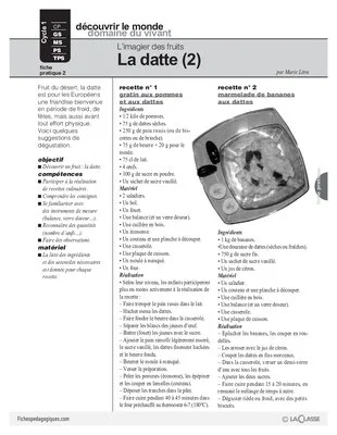 L'imagier des fruits : La datte (2)