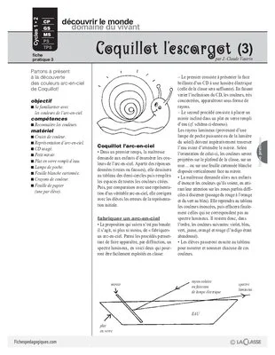 Coquillot l'escargot (3)
