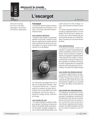 L'escargot (2)