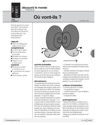 L'escargot (7)