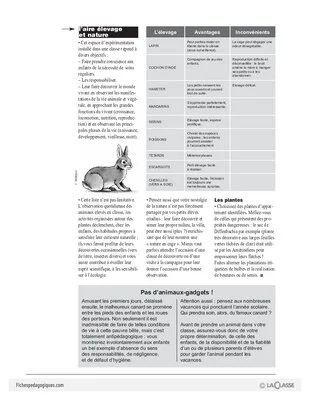 Organiser les aires d'activités