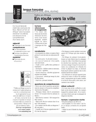 Trafics en Afrique (5) / En route vers la ville